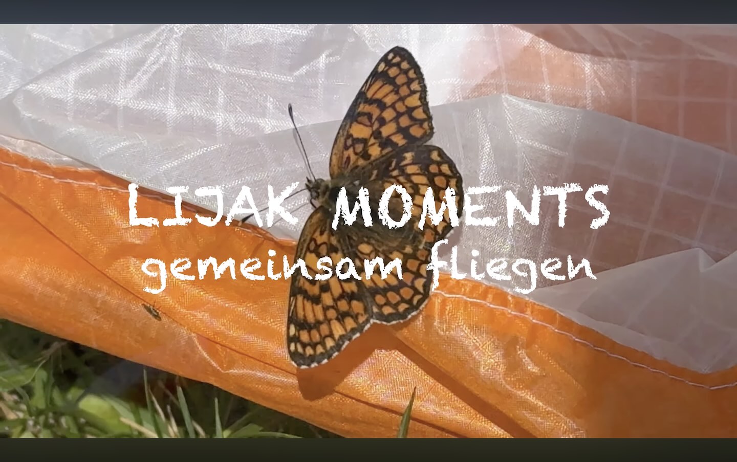 gemeinsam fliegen 20200630 001 540 2